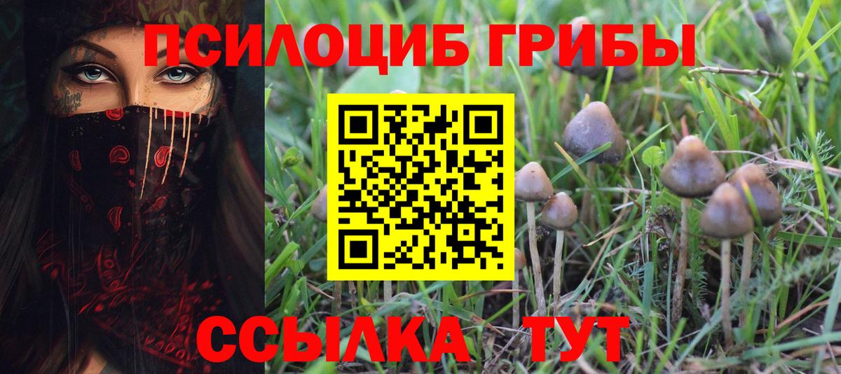Псилоцибиновые грибы Magic Shrooms  Псилоцибиновые грибы Psilocybe  Вход с VPN  Конаково 